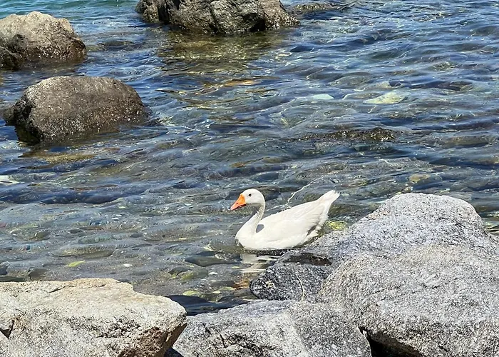 Fotis Naxos 아파트 Pláka