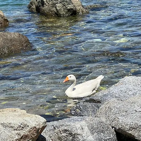 Fotis Naxos شقة Pláka